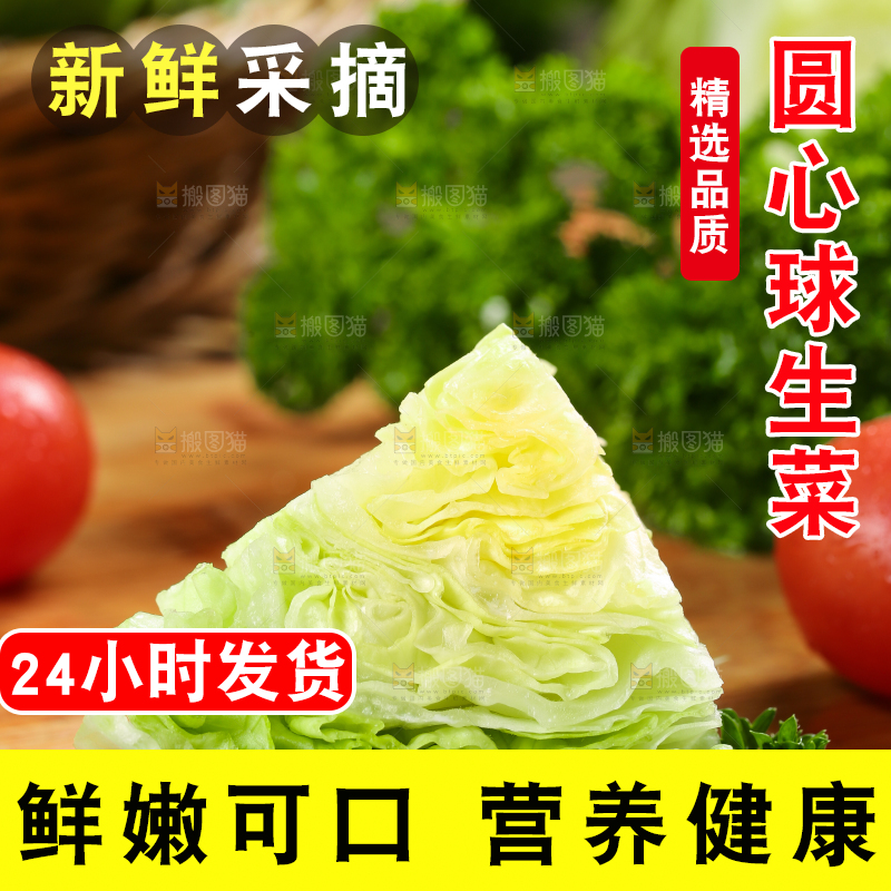 深底上的圆形生菜