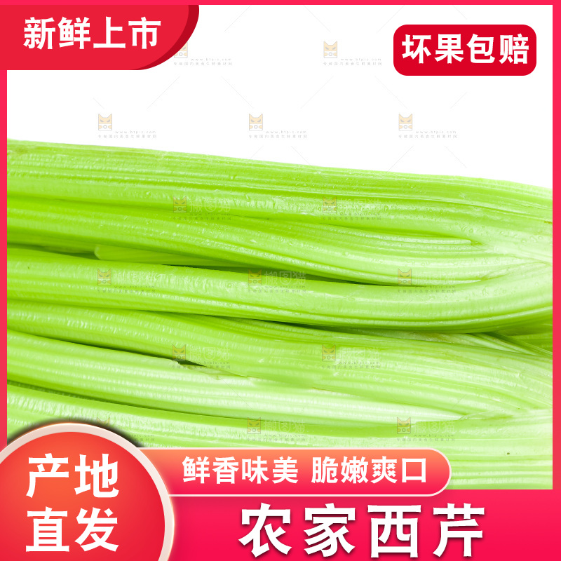 白底上放着西洋芹