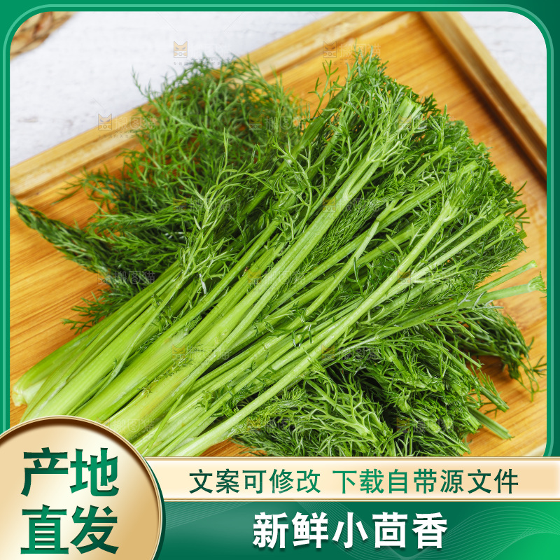 盘子里的云南小茴香菜