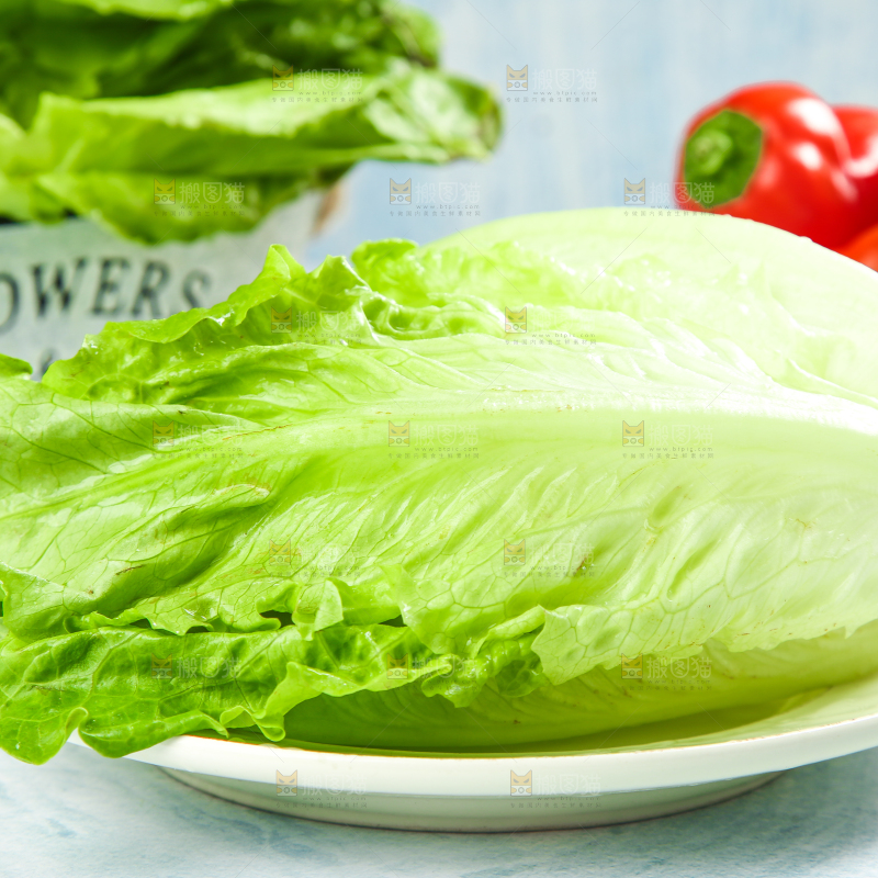 盘子里装着大叶生菜