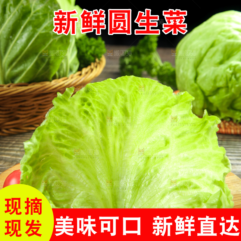 深底上的圆形生菜