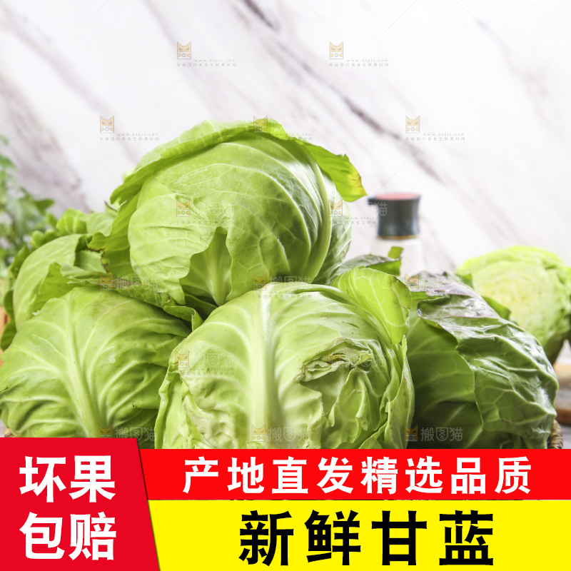盘子里装着包心菜