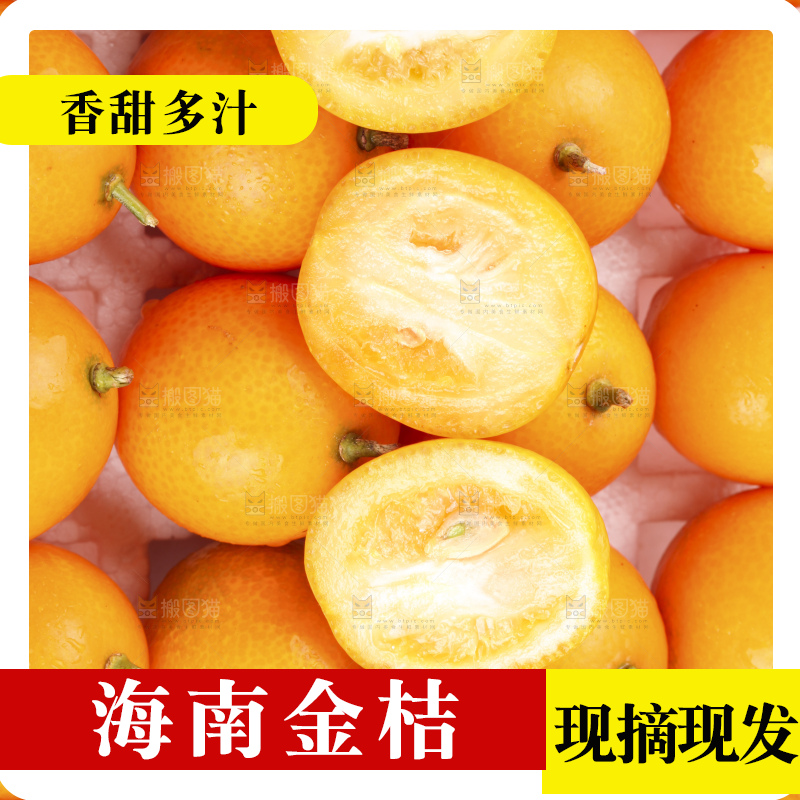 白底上的阳朔脆皮金桔