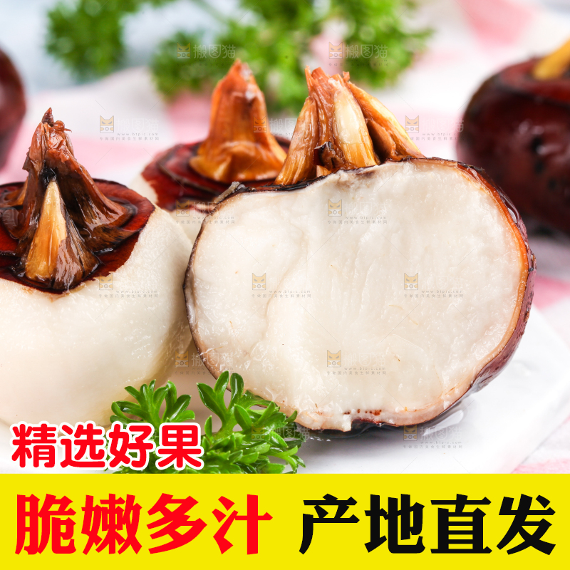 彩底上放着红马蹄