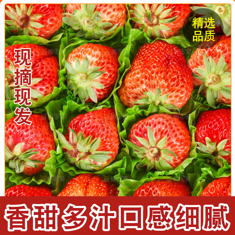白底上放着一箱新鲜草莓
