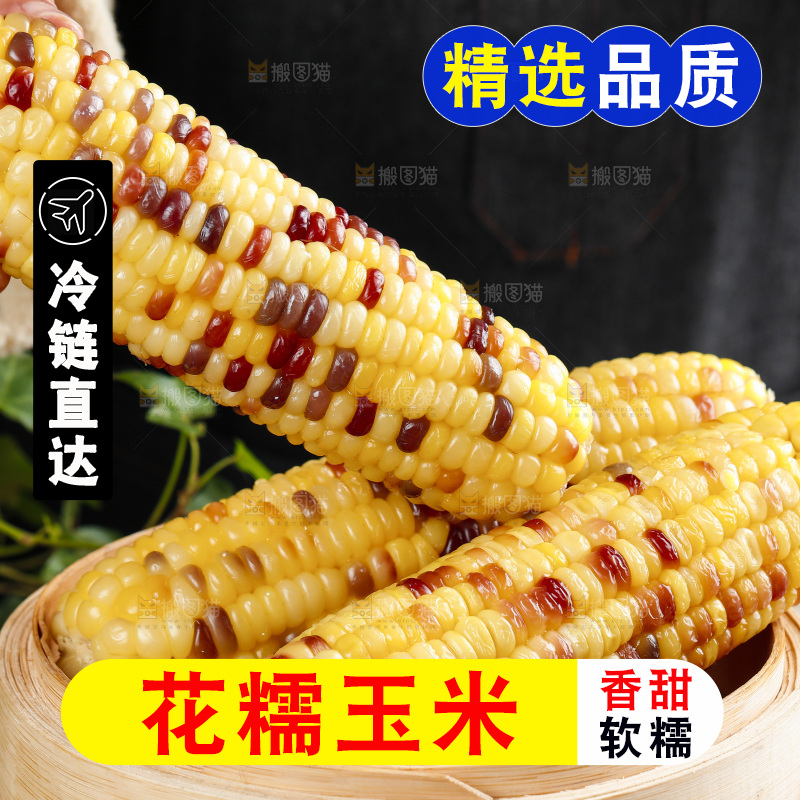 手拿熟糯玉米