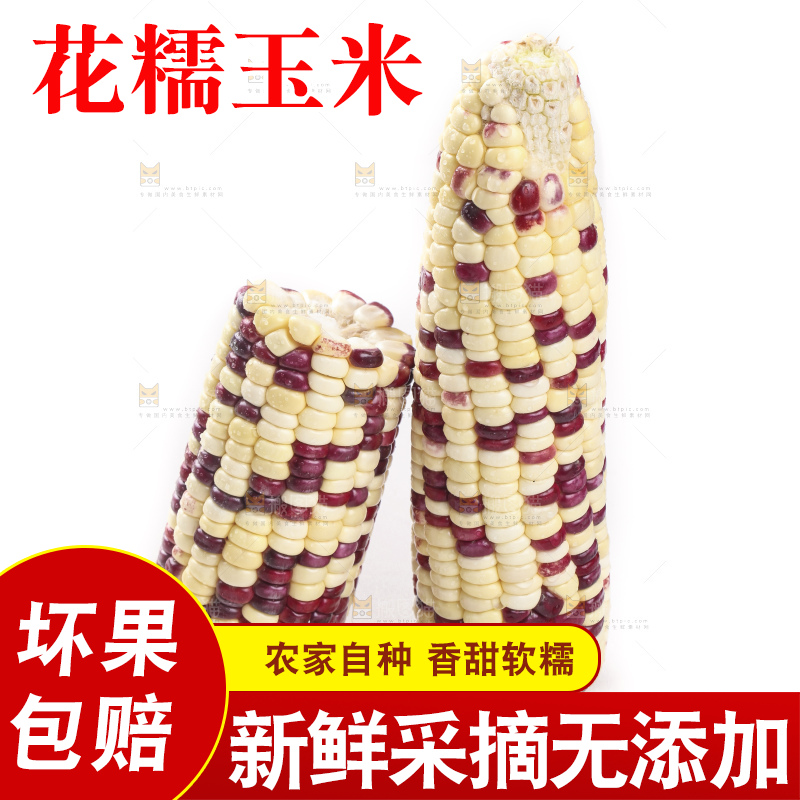 剥皮的花糯玉米放在白底上