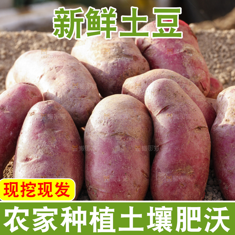 土地上放着红心土豆
