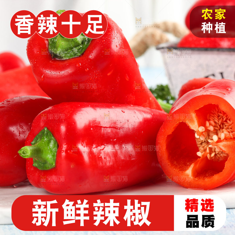 石板上的山东红辣椒