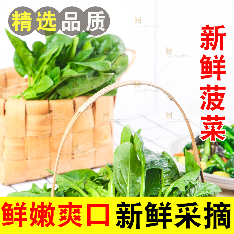 白格子底上的嫩菠菜