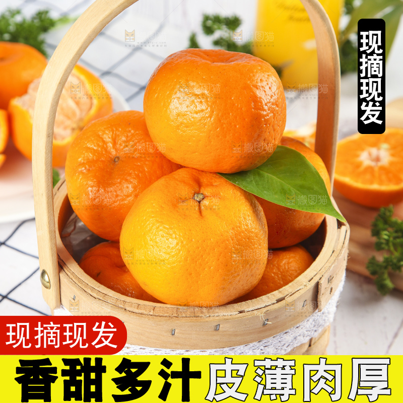 篮子里装着新鲜芦柑