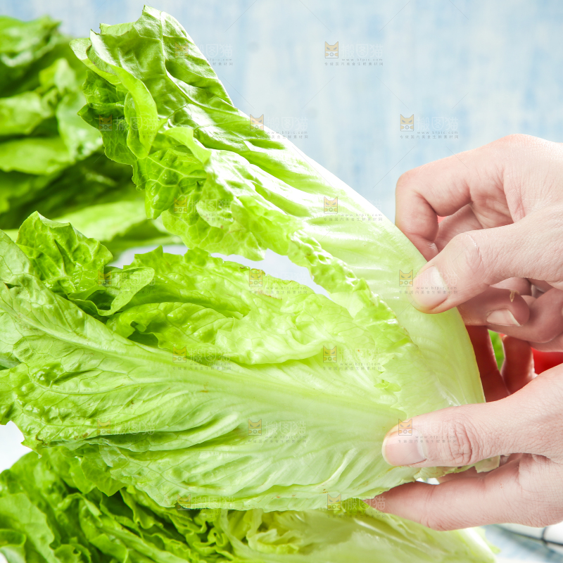 石板上摆放着意大利生菜