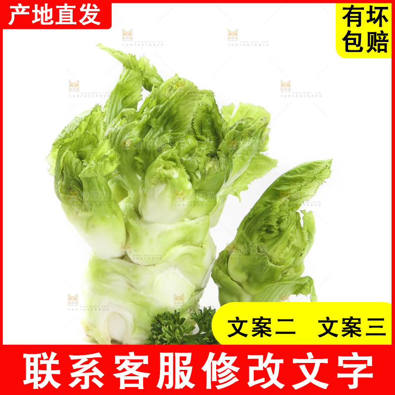 白底上的大头菜疙瘩