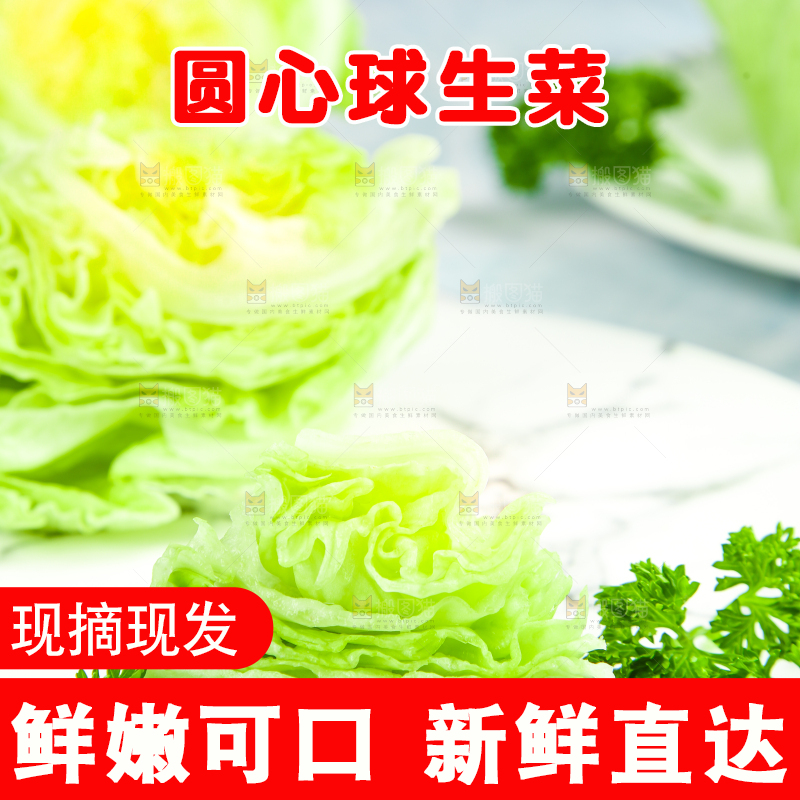 盘子里装着球生菜