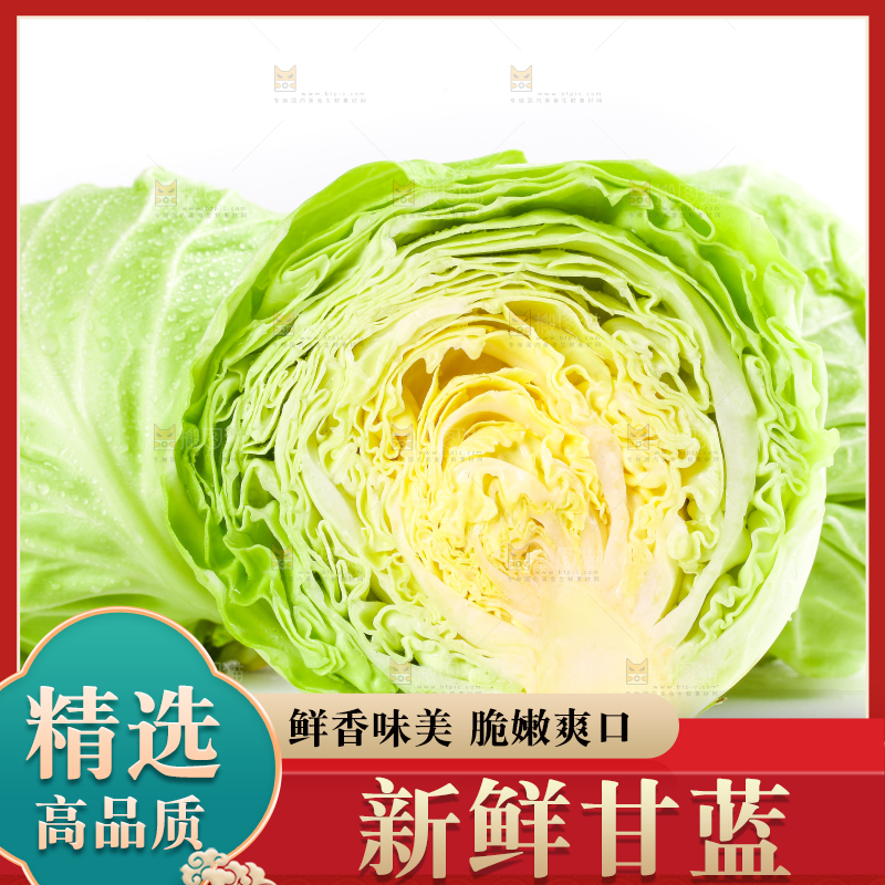 白底上摆放着包菜