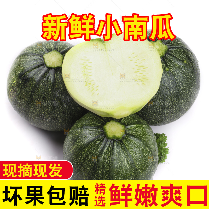 白底上摆放着花皮小南瓜