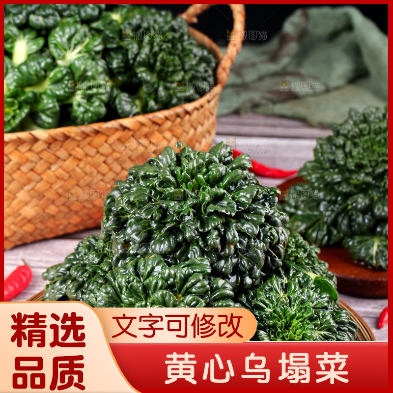 篮子里的新鲜菊花菜