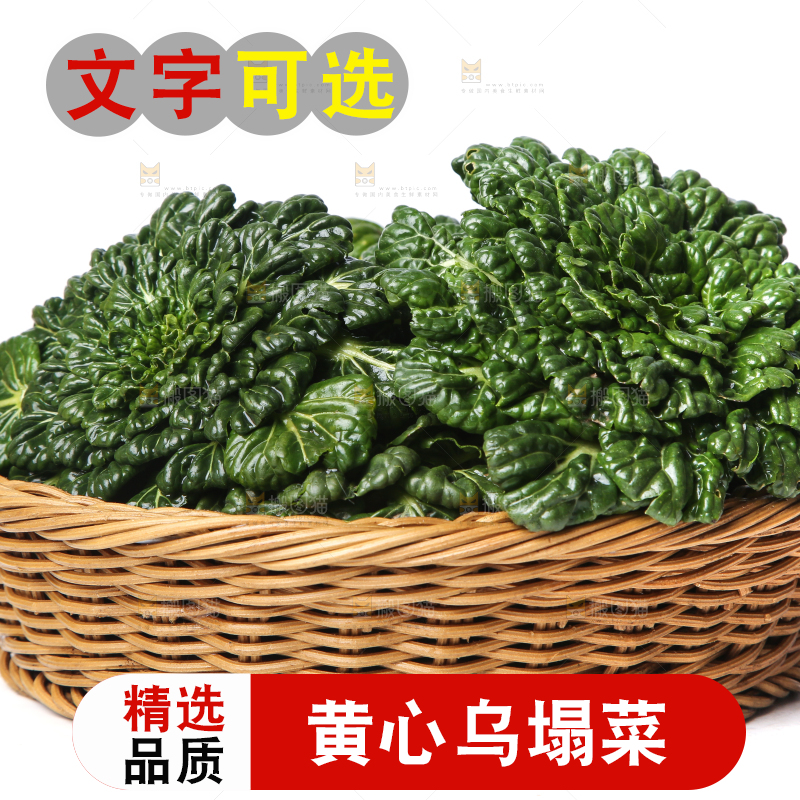 篮子里装着乌塌菜