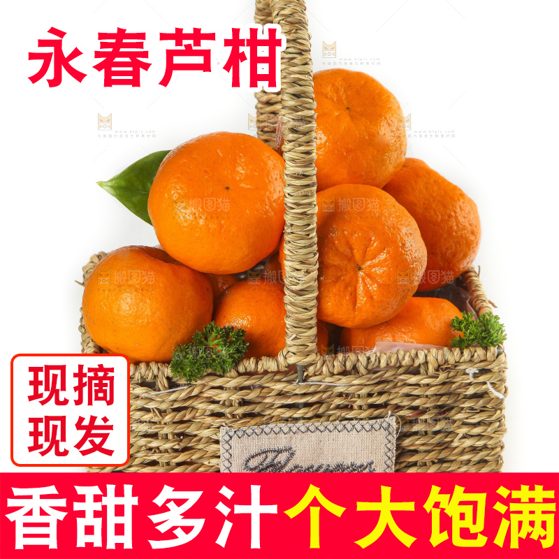 篮子里装着新鲜芦柑