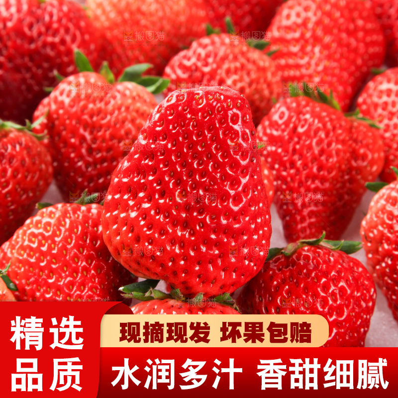 箱子里的奶油草莓