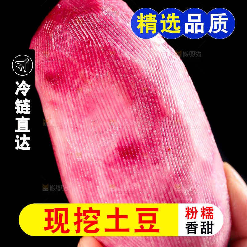 手里拿着云南红土豆