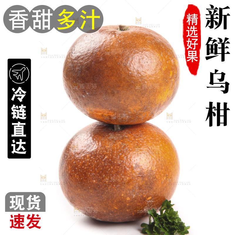 白底上放着新鲜乌柑