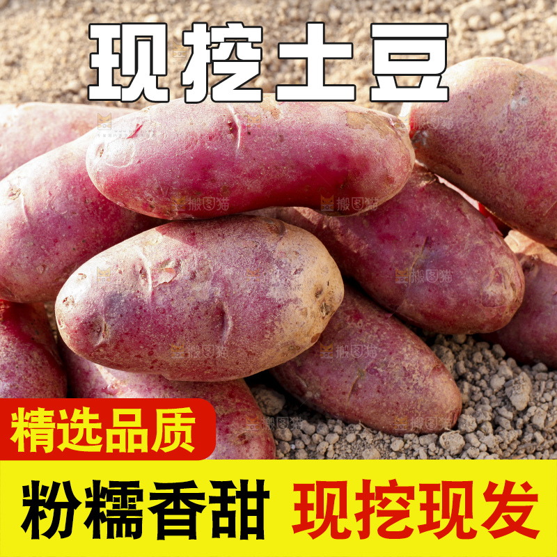 土地上放着红心土豆
