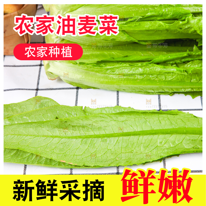 白格子底上放着新鲜油麦菜