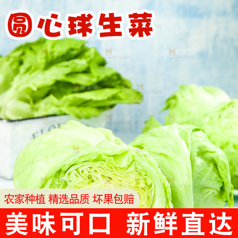 盘子里装着球生菜