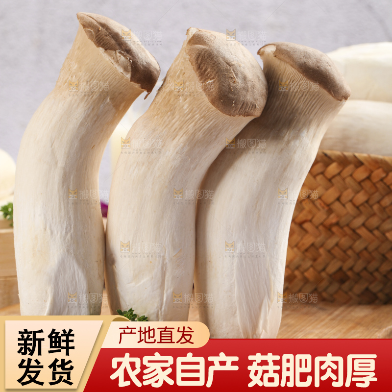 木板上的新鲜杏鲍菇