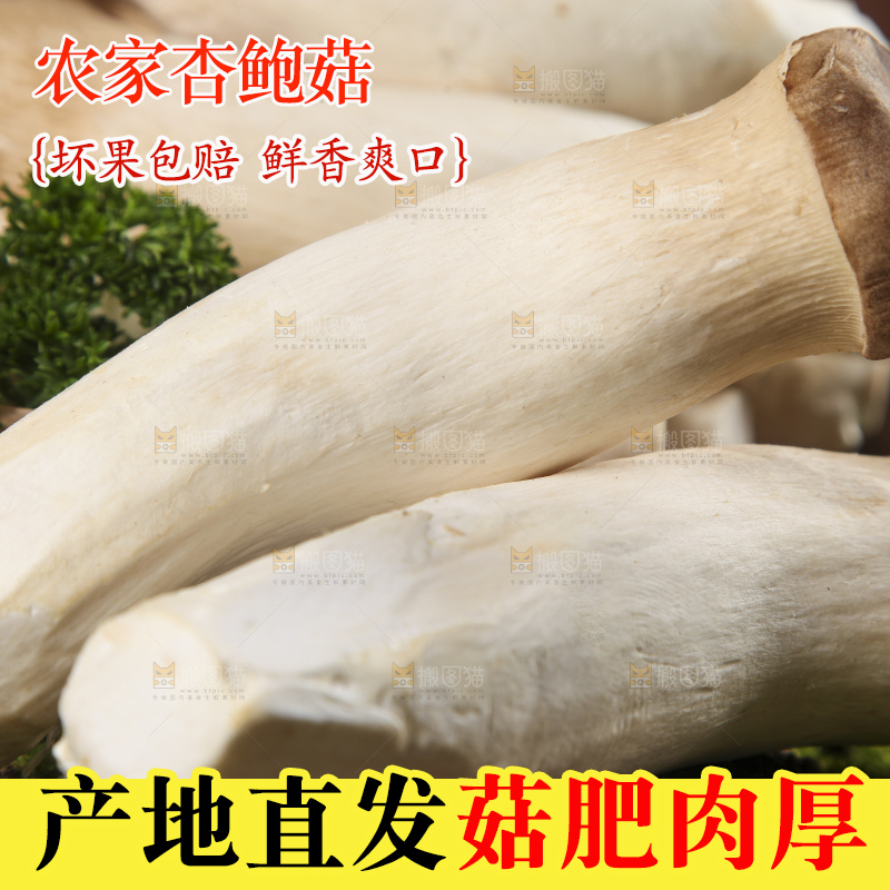 木底上的鸡腿菇