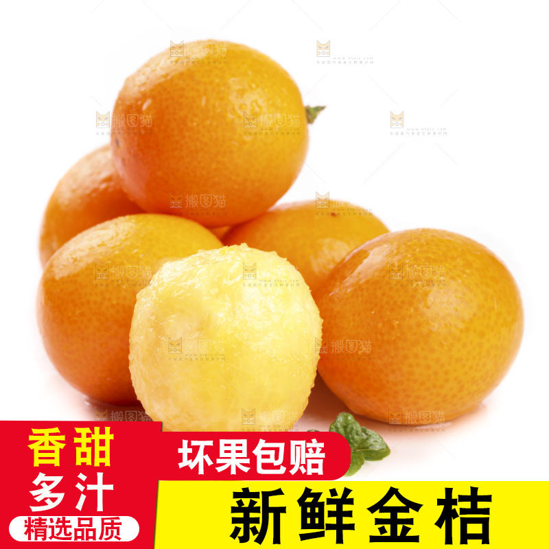 白底上的阳朔脆皮金桔