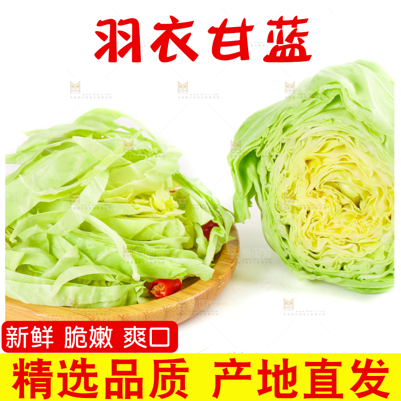 白底上摆放着包菜