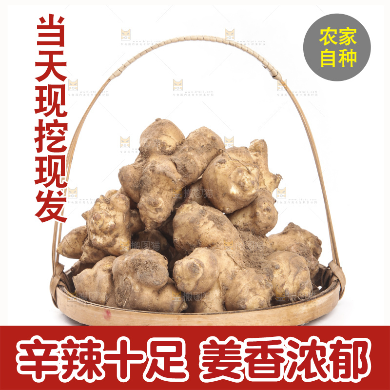 白底上摆放着新鲜洋姜