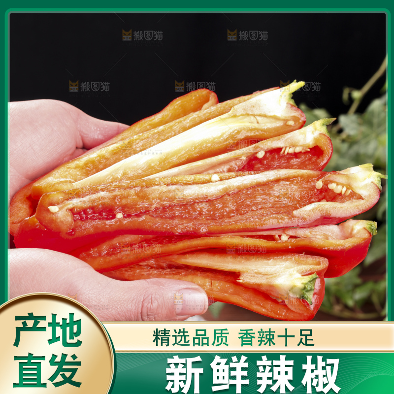 手里拿着新鲜红辣椒