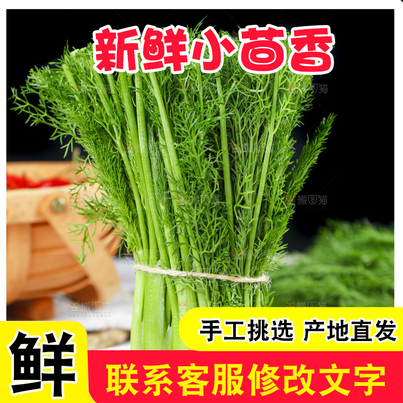 盘子里装着农家茴香菜