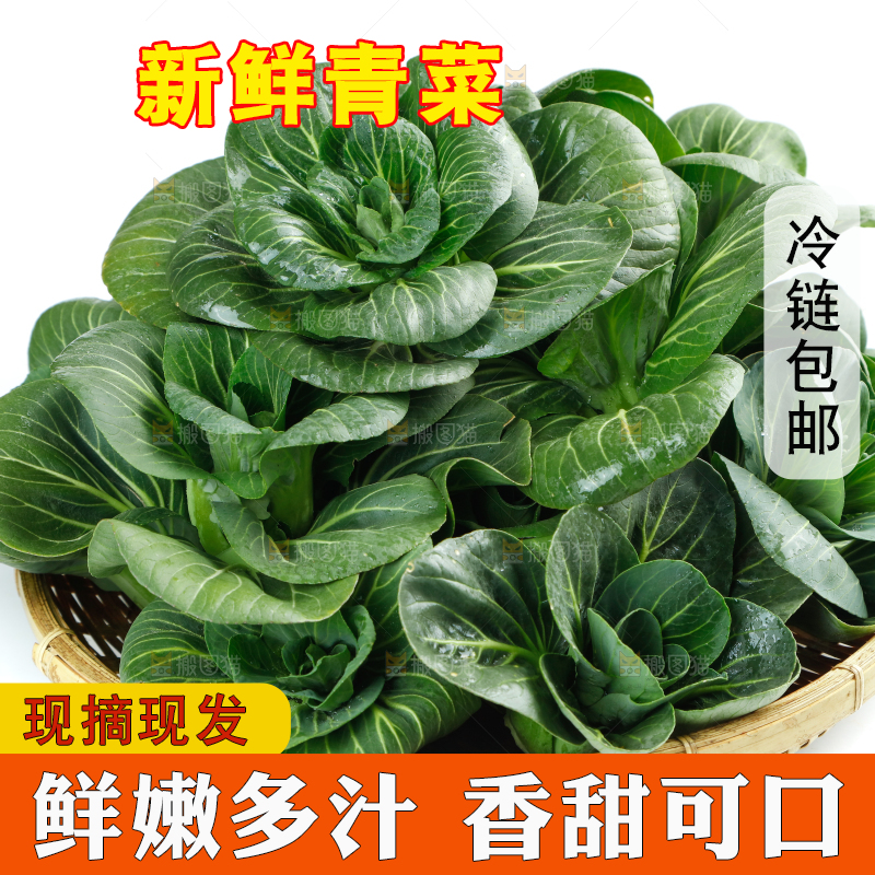 白底上的绿叶菜