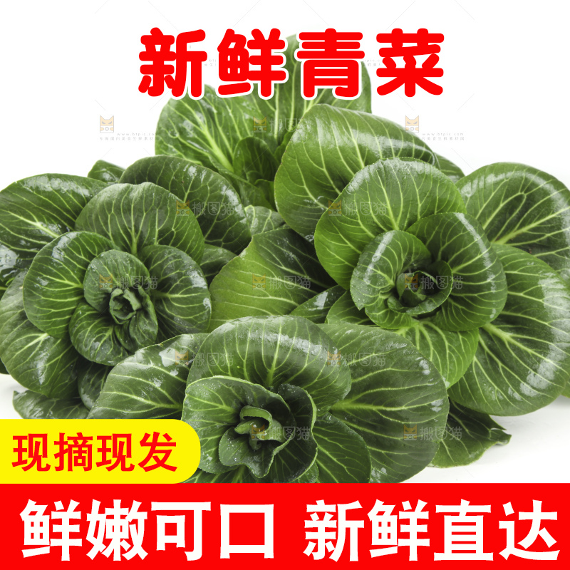 白底上放着上海青