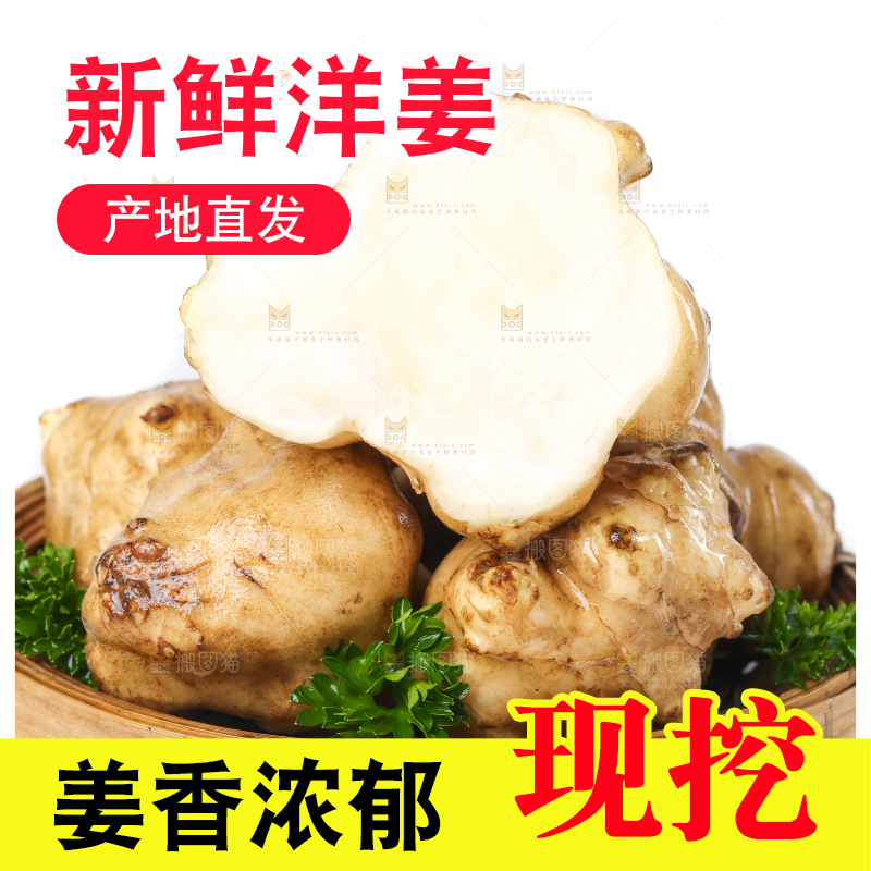 白底上的陕北高原洋姜