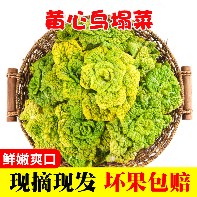 篮子里装着乌塌菜