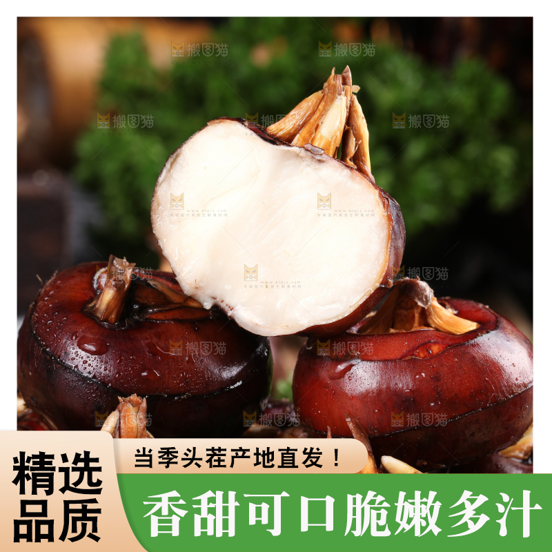 篮子里的红马蹄