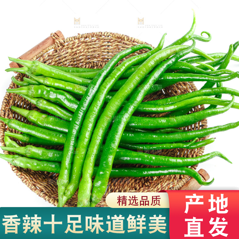 白底上放着二荆条辣椒