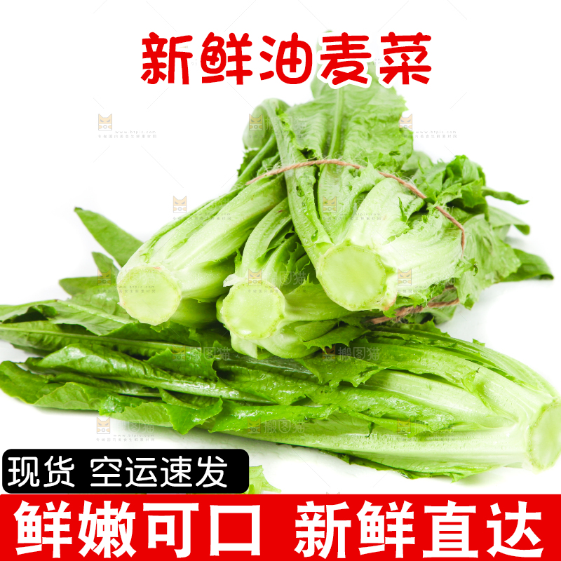 白底上的香麦菜