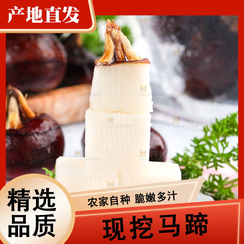 彩底上的马蹄果