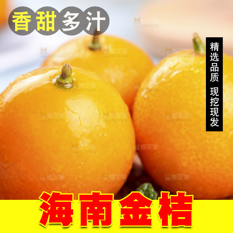 竹底上摆放着滑皮金桔
