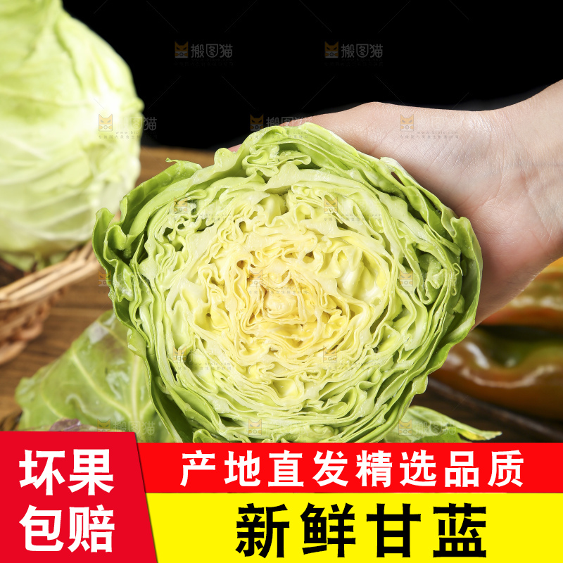 手里拿着洋白菜