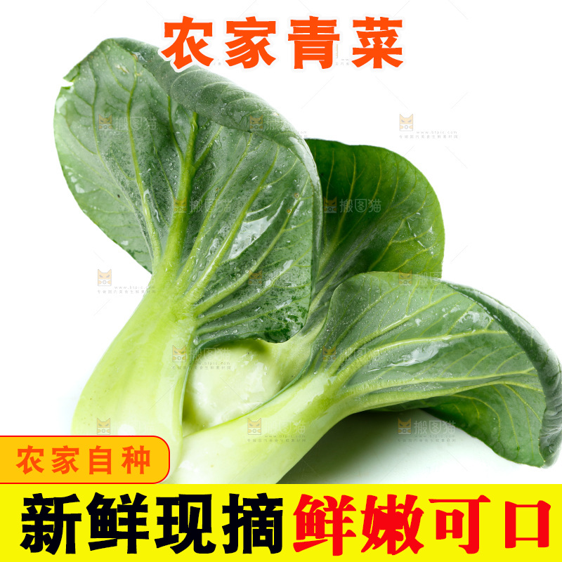 白底上放着上海青