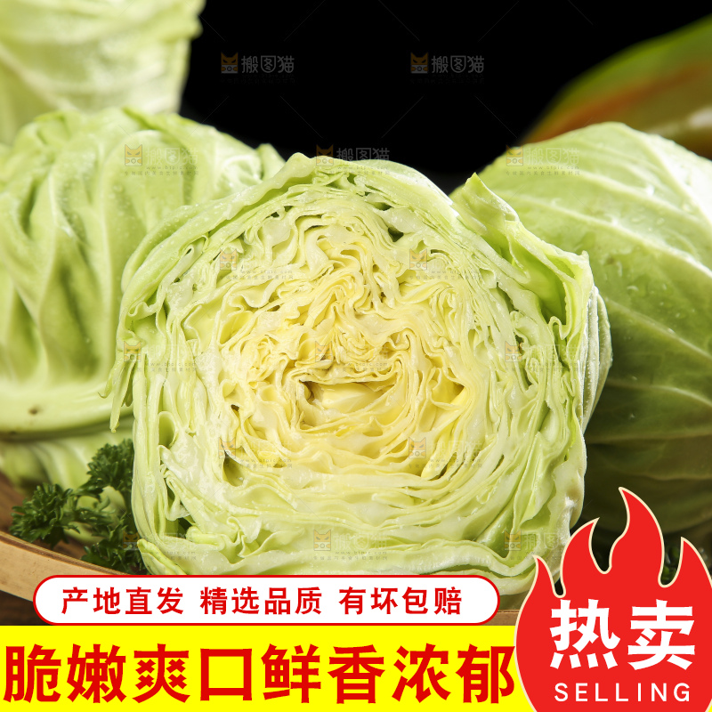 木底上放着一盘孢子甘蓝