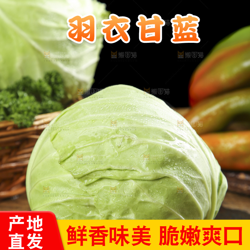 黑石板上的卷心菜