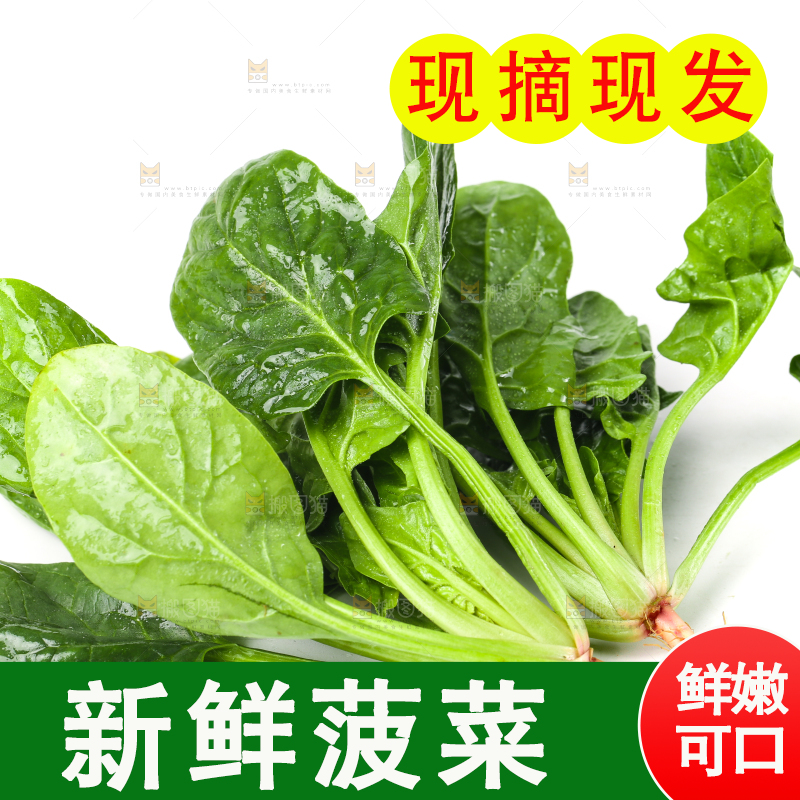 白底上放着菠菜